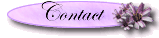Contactez-nous/Contact Us